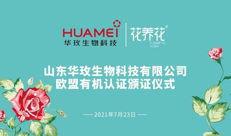 1627518030607310.jpg h0.jpg